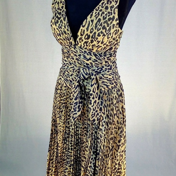 Dress - Picture 3 of 4